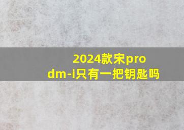 2024款宋pro dm-i只有一把钥匙吗